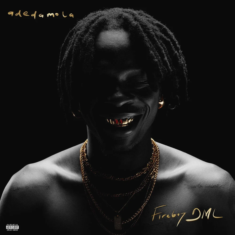 Fireboy DML – back n forth