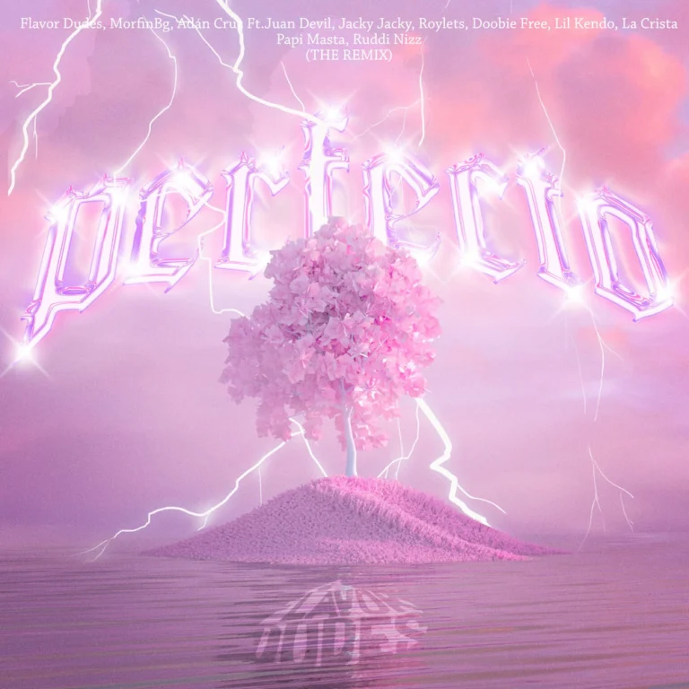 Flavor Dudes – Perfecto (Remix)