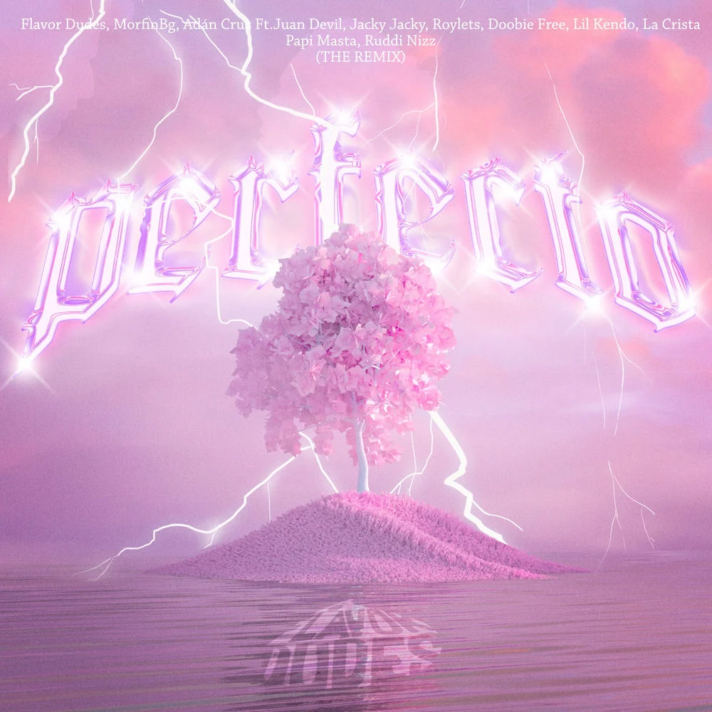 Flavor Dudes – Perfecto (Remix)