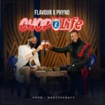 Flavour – Chop Life
