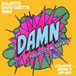 Galantis – Damn (You’ve Got Me Saying) (Galantis & Misha K VIP Mix)