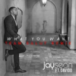 Jay Sean – What You Want (Team Salut Remix)