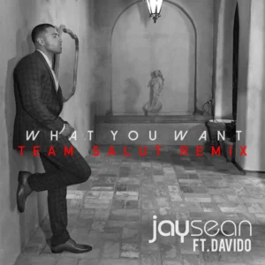 Jay Sean – What You Want (Team Salut Remix)