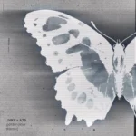 JVKE – golden hour (Remix)
