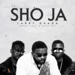 Larry Gaaga – Sho Ja