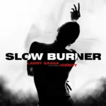 Larry Gaaga – Slow Burner