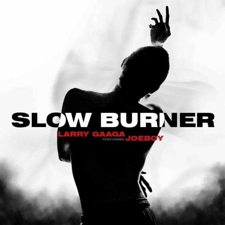 Larry Gaaga – Slow Burner