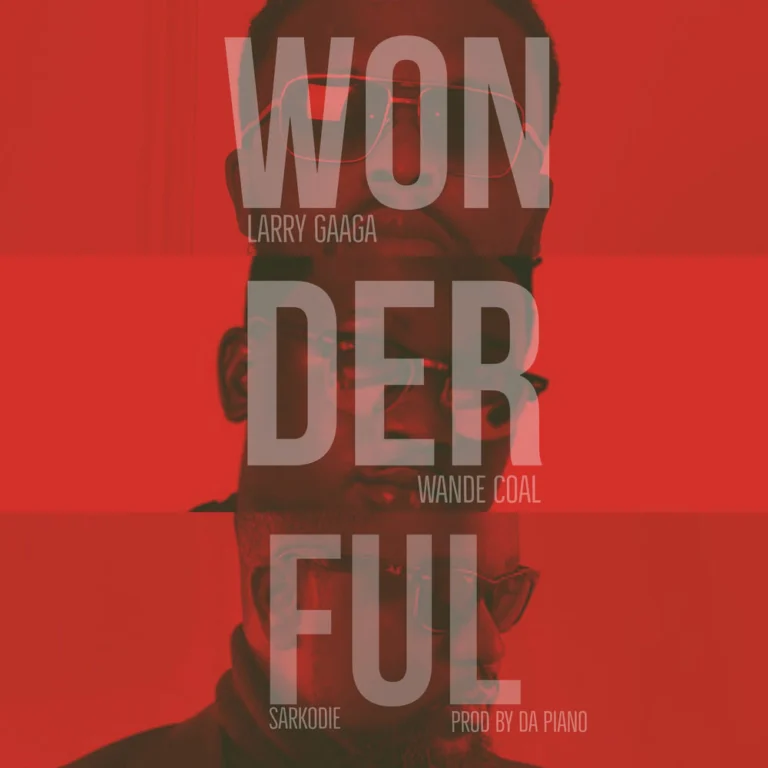 Larry Gaaga – Wonderful