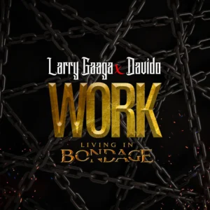 Larry Gaaga