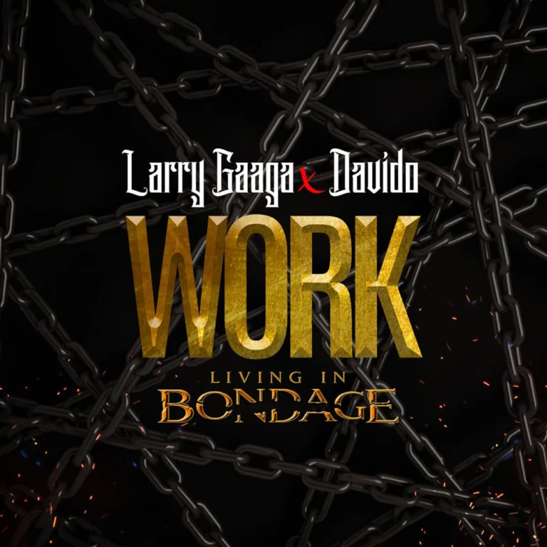Larry Gaaga – Work: Living In Bondage