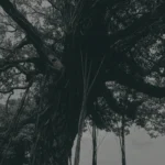 MaVo – Runecraft