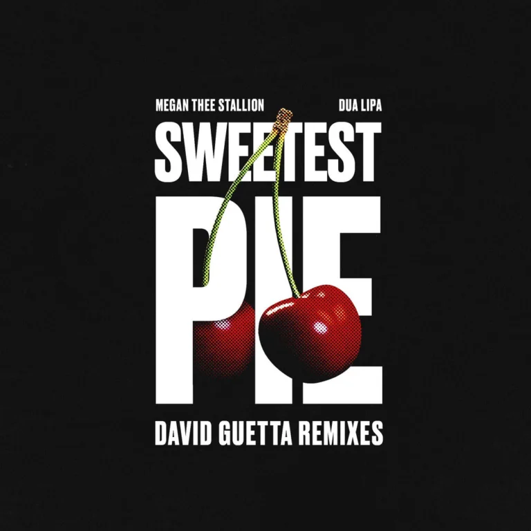 Megan Thee Stallion – Sweetest Pie (David Guetta Dance Remix)