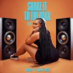 Moliy & Silent Addy – Shake It to the Max (Fly)