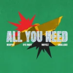 Murphy – All You Need