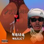 Naira Marley – Pxy Drip