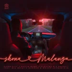 Piano City – Shona Malanga