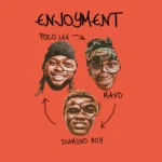 Poco Lee – ENJOYMENT