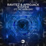 Ravitez – System (Extended Mix)