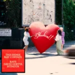 RAYE – WHERE IS MY HUSBAND! (Remix)