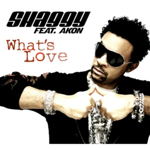 Shaggy