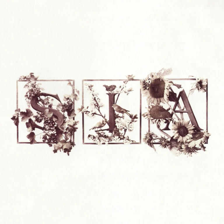 Sia – Lucky