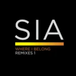 Sia – Where I Belong (Roni Size Remix)