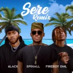 SPINALL – Sere (Remix)
