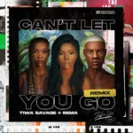 Stefflon Don – Can’t Let You Go (Remix)