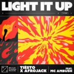 Tiësto ft. MC Ambush – Light It Up