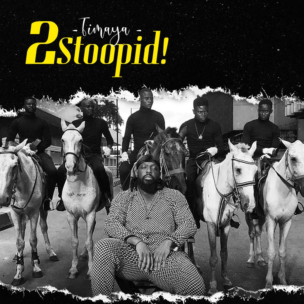 Timaya – 2 Stoopid