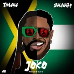 Timaya – Joko