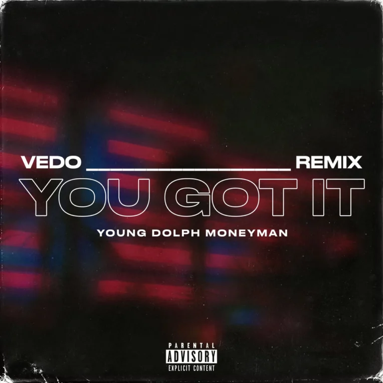 VEDO – You Got It (Remix)