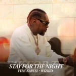 Vybz Kartel – Stay For The Night