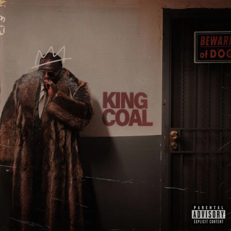 Wande Coal – Feelings