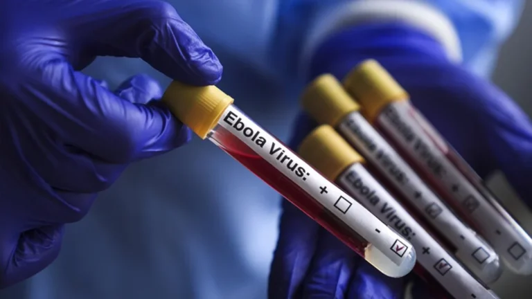 WHO Clarifies Nigeria Is Not Yet Ebola-Free as 52 Contacts Remain Under Watch