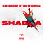 Wizkid – Shabba