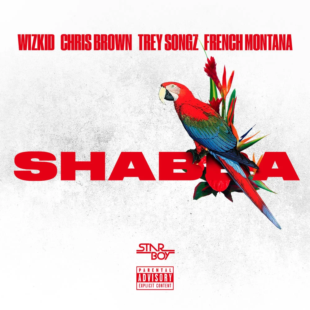 Wizkid – Shabba